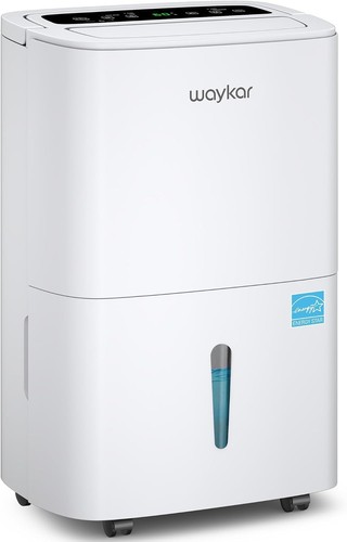 Waykar pints 2025 - waykar, 80